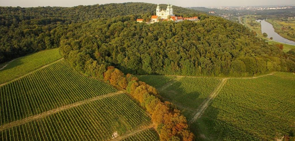 Winnica Srebrna Góra położona jest w Krakowie, u stóp klasztoru O.O. Kamedułów na Bielanach. Jest jedną z największych winnic w Polsce, malowniczo położoną w dolinie Wisły.