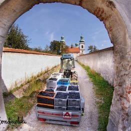 HISTORIA Winnica Srebrna Góra nawiązuje do sięgającej początku X wieku historii krakowskich upraw winorośli, której ślady naukowcy odkryli na Wawelu, oraz klasztornych tradycji wytwarzania wina.