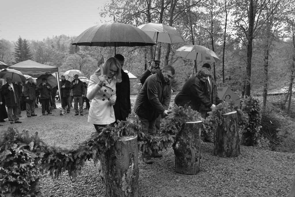 65 Rycina 4a (4b) Uroczyste otwarcie Zagrody Pokazowej Żubrów w Mucznem 17 maja 2012 r. Fot.