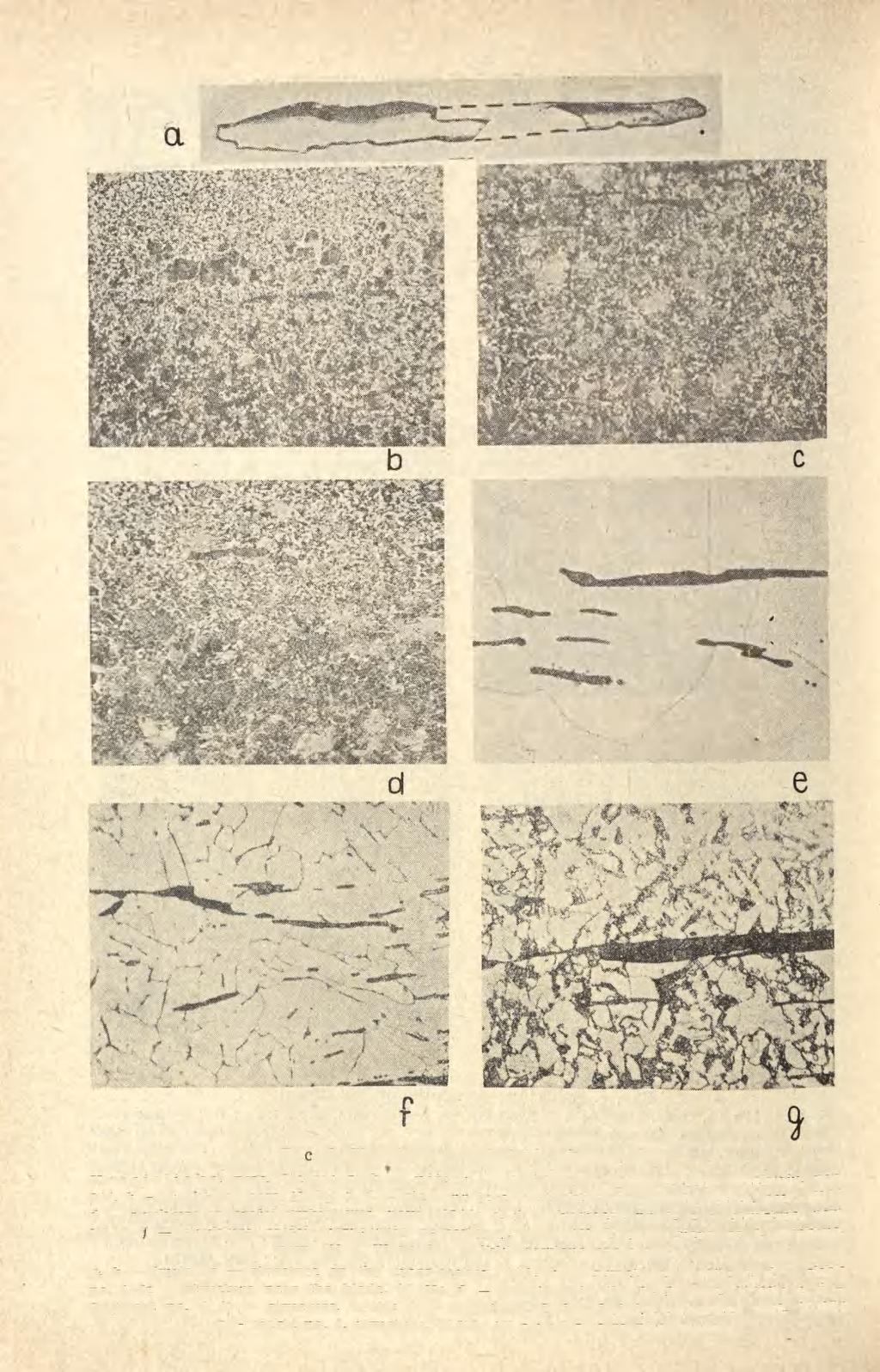 Ryc. 6. Struktury przedmiotów żelaznych: Kościeliska, pow. Olesno: a, b nóż: a struktura na poprzecznym przekroju, pow. 6 X, b struktura, pow.
