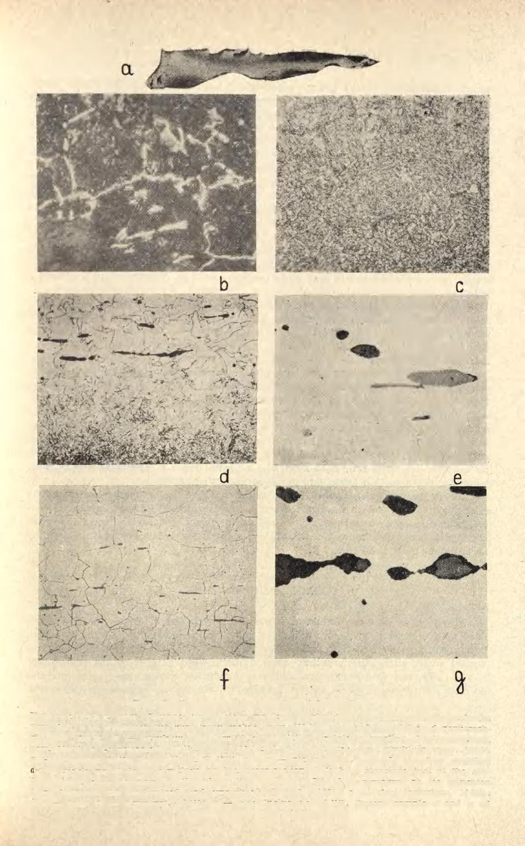 Ryc. 7. Struktury przedmiotów żelaznych: Kościeliska, pow. Olesno : a-e sierp nr 3 : a struktura na poprzecznym przekroju, pow. 4 X, b struktura tuż przy powierzchni, pow.