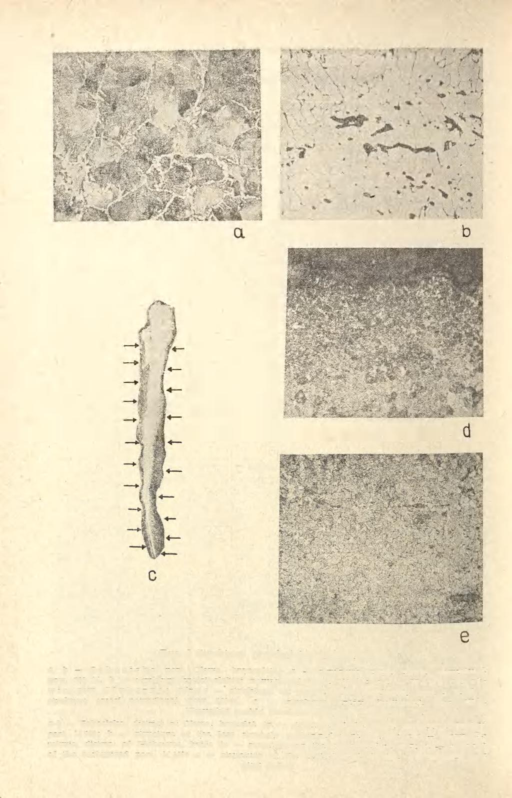 Ryc. 3 Struktury przedmiotów żelaznych: a, b Sobocisko, pow. Oława, bransoleta : a struktura części silniej nawęglonej, pow. 100 X, b struktura części słabiej nawęglonej, pow.