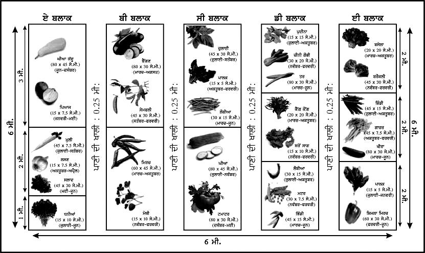 40. sbziaw lei bhu-&sli prxwli ic`qr-1 Gr bgici dw mwfl bhuq swriaw sbziaw diaw &slw QoVy smyn diaw hi humdiaw hn Aqy ieh sbziaw &sl c`krw ivc myc Aw jwdiaw hn [ ies qrhw prqi iekwei smyn Aqy QW