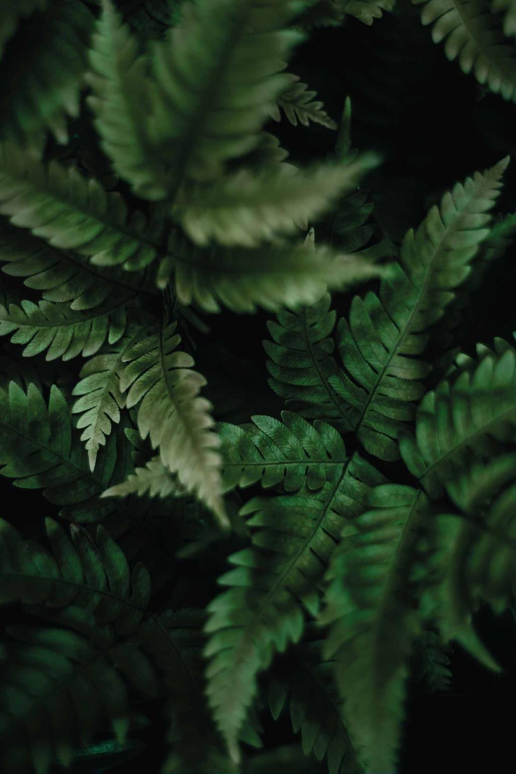 GREEN COMFORT W