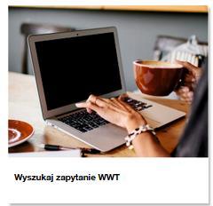 Wyszukiwanie WWT Istnieje możliwość wyszukiwania Odpytań o WWT według różnych kryteriów: