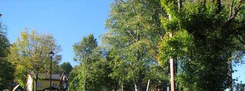Przebudowa