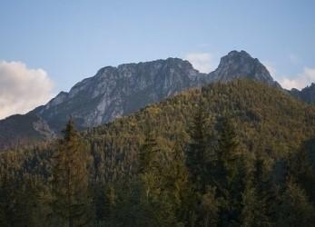 środowisku geograficznym są niezbędne do uprawiania turystyki wiejskiej. poznawczej. motywacyjnej. kwalifikowanej.