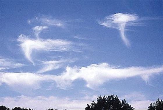 Dzieje się tak, ponieważ Cirrus fibratus często jest jednorodny (między innymi, w przybliżeniu jednakowy współczynnik załamania światła w całej chmurze).