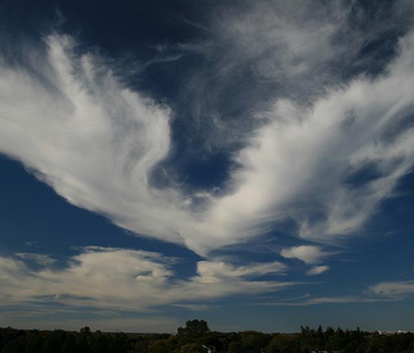 Cirrus Spissatus (Ci Spi) Cirrus spissatus zazwyczaj powstaje przed frontem ciepłym. Jest to ławica Cirrosów, miejscami dość gęste.