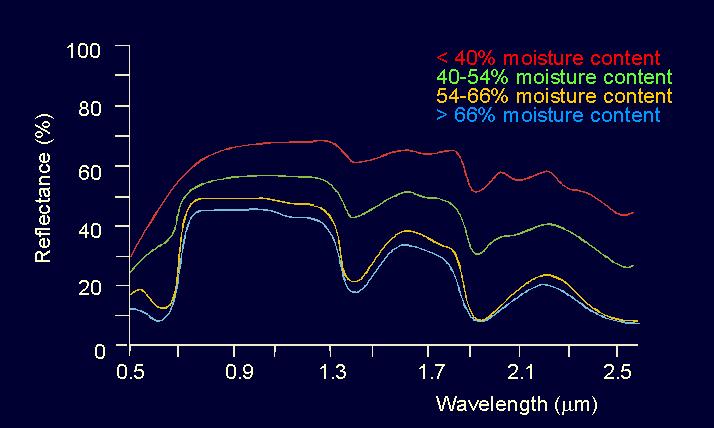 Krzywe spektralne Krzywe spektralne - charakterystyka współczynnika odbicia w zależności od długości fali.