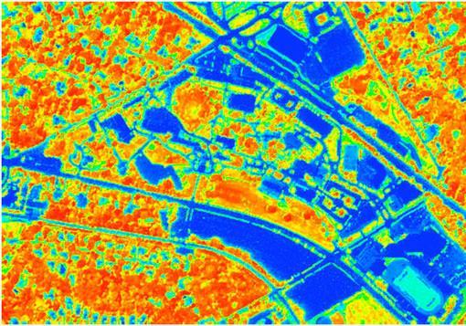 Współczynnik NDVI http://www1.villanova.