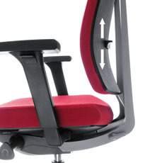 Innovative patented SmartADLS solution: additional depth adjustable lumbar support.