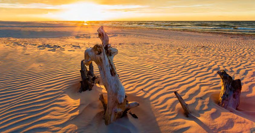 KRYNICa morska Idealne miejsce dla osób ceniących wygodę oraz ciszę i spokój. Obiekt położony na ogrodzonym zalesionym terenie, tylko 100 m od pięknej plaży.