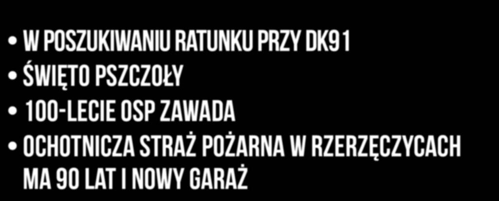 poszukiwaniu ratunku przy DK91 Święto Pszczoły 100-lecie