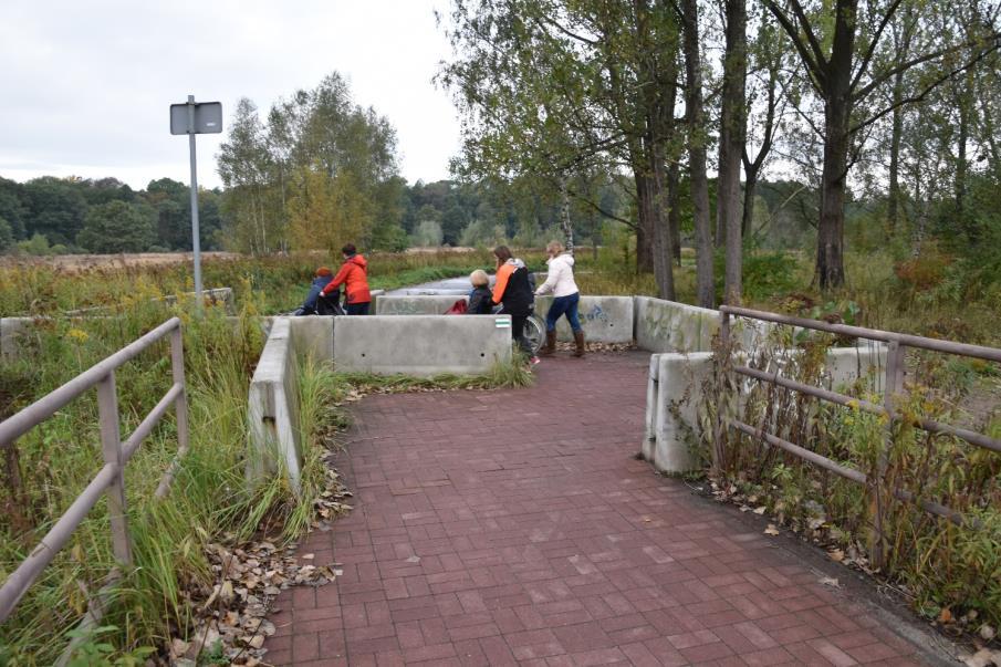 PARKU ZIELONA