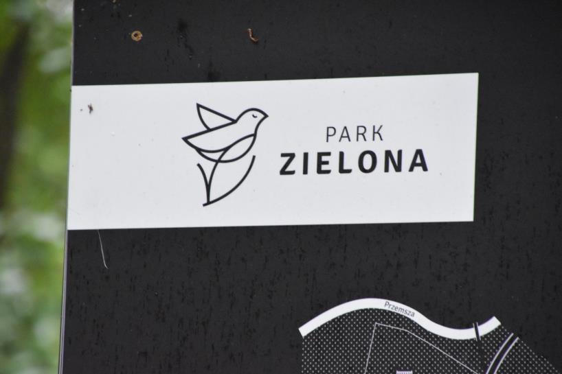 ZIELONA