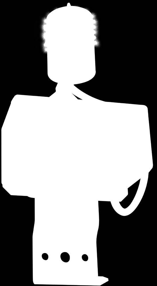 oprawy Zabezpieczenie przeciw przepięciowe Funkcjonowanie w trybie jednoczesnym od 1-4 opraw lub 2+2 opraw w trybie zamiennym (oprawy pracujące + oprawy zastępcze) Dostępna ze wspornikiem na