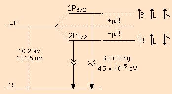 magnetycnym B energia spinu pryjmuje wartości: U + =+µ Β B dla m s =+1/ U - =-µ B B dla m s