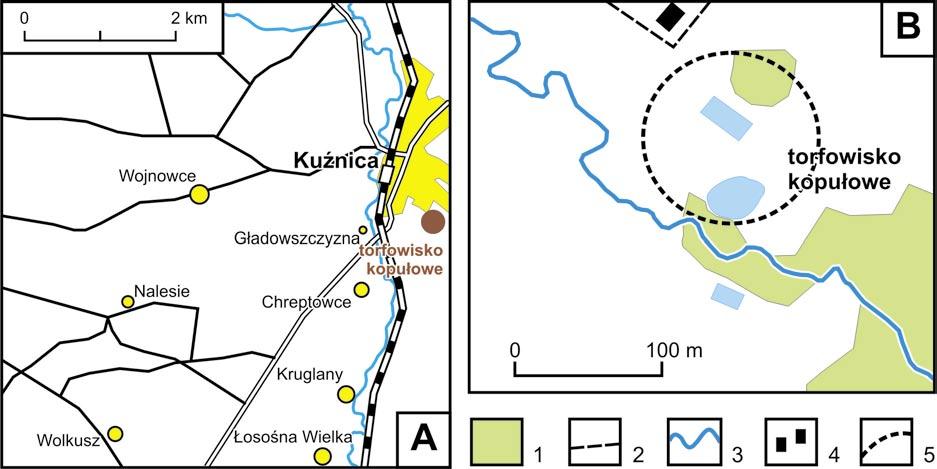 28 Ryc. 1. Lokalizacja torfowiska kopułowego w Kuźnicy. B. 1 - lasy, 2 - drogi, 3 - rzeki, 4 - zabudowa, 5 - przybliżone granice torfowiska.