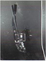 Historia freedivingu Jacques Mayol (fr.) w 1976 r.
