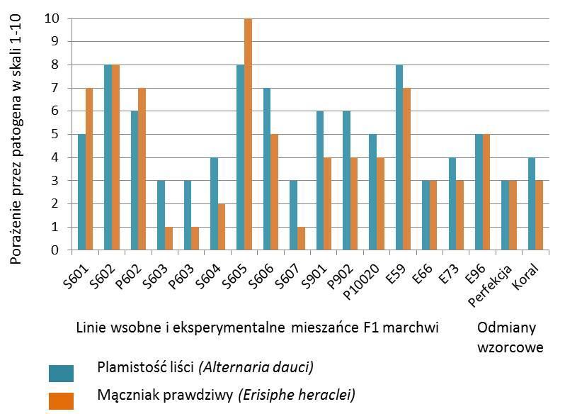 Trzy linie (S603, P603, S607)