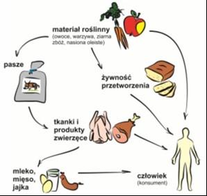 Zadanie 14. Kokcydiostatyki są dopuszczone do pasz dla drobiu i królików. trzody i drobiu. bydła i trzody. drobiu i bydła. Zadanie 15.