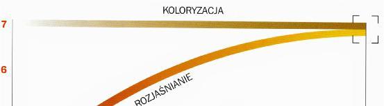 W salonie fryzjerskim wykonuje się: pojaśnianie włosów, podkład rozjaśniający, farbowanie rozjaśniające, rozjaśnianie właściwe: rozjaśnianie całego porostu, odrostów, pasemek i balejaż.