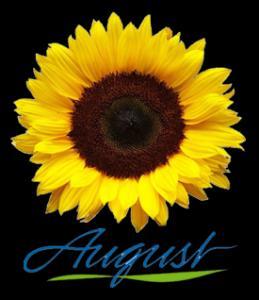 TWENTIETH SUNDAY IN ORDINARY TIME August Special Envelope Schedule Maintenance Fund & Monthly No Date Weekly Offertory ~ August 13, 2017-$8,155.