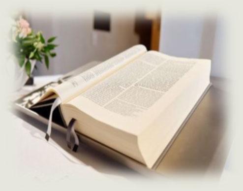 By God s Grace, The Women s Centers have saved almost 40,000 babies and their mothers from abortion since opening in 1984.