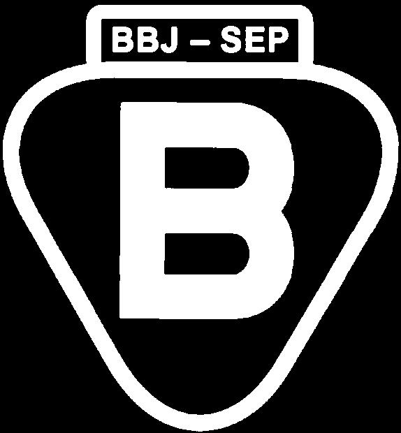 BBJ Firma nagrodzona Złotą Odznaką Honorową SEP Company granted with SEP Gold Honour Award S T O W A R Z Y S Z E N I E E L E K T R Y K Ó W P O L S K I C H B I U R O B A D A W C Z E D S.