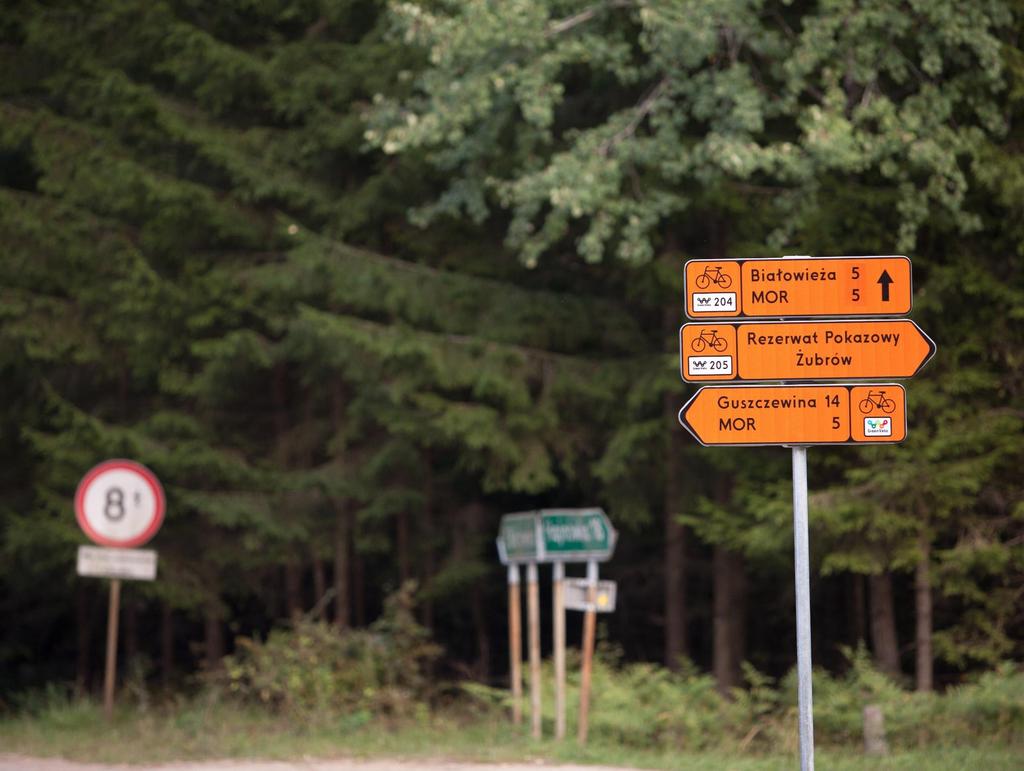 OZNAKOWANIE SZLAKÓW ROWEROWYCH BUDŻET: 903 452,22 zł - audyt 5 500 km znakowanych szlaków rowerowych, - opracowanie 3796 km nieznakowanych