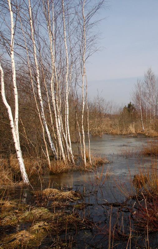 Program azotanowy cd. Określone terminy stosowania nawozów. Maksymalna wielkość dawki nawozów naturalnych wykorzystywanych rolniczo nie więcej niż 170 kg N w czystym składniku na 1 ha użytków rolnych.