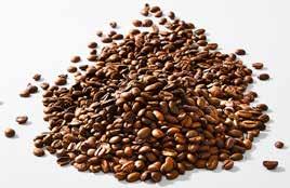 100 g 4,80 zł 23 19 95 100% ARABICA