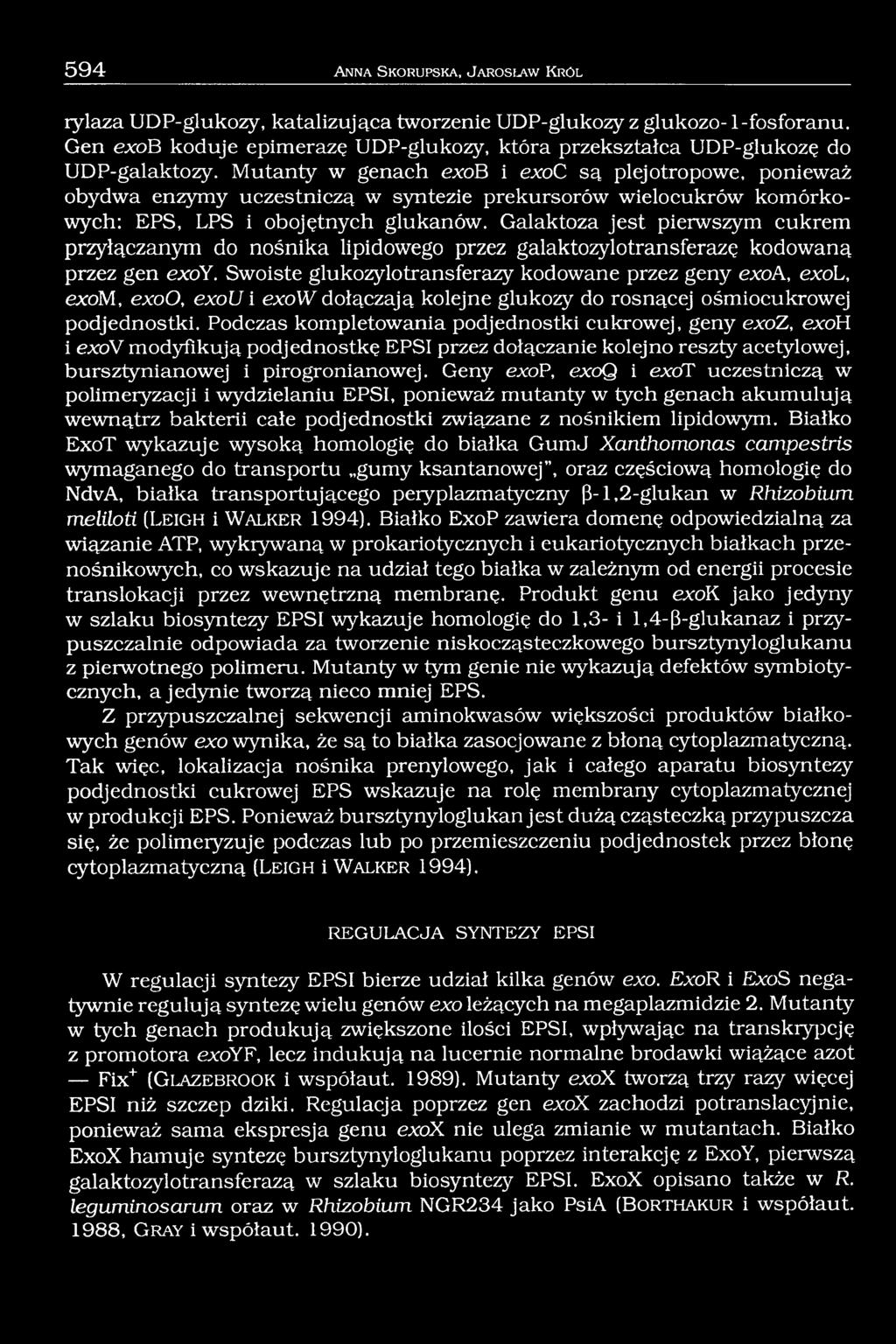 Mutanty w genach exob i exoc są plejotropowe, ponieważ obydwa enzymy uczestniczą w syntezie prekursorów wielocukrów komórkowych: EPS, LPS i obojętnych glukanów.