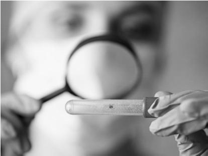 BORELIOZA Z LYME OD ROZPOZNANIA DO LECZENIA Mgr Barbara Jagiencarz - Starzec Szpital Wojewódzki im. Św.