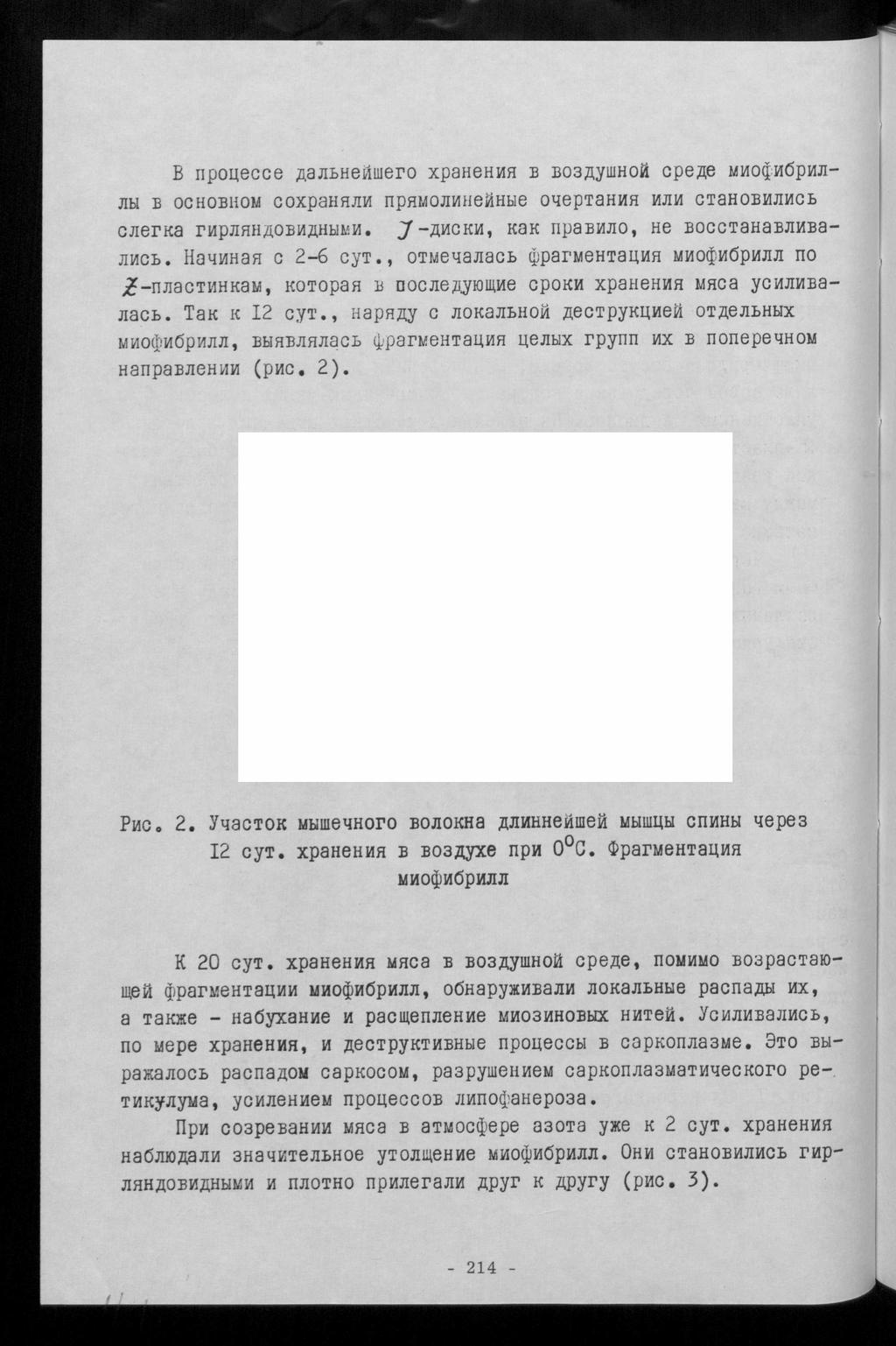 B iiponecce AajiBHetfwero xpahehmh b B03syuiH0 í opeae mmoçmôpmji- Jlbl B OCHOBliOM COXpaHHJIH nphmojimhemhbie O^epTaHMH HJIM GTaHOBMJIMGB CJierKa rmpjihhßobmähblmm.