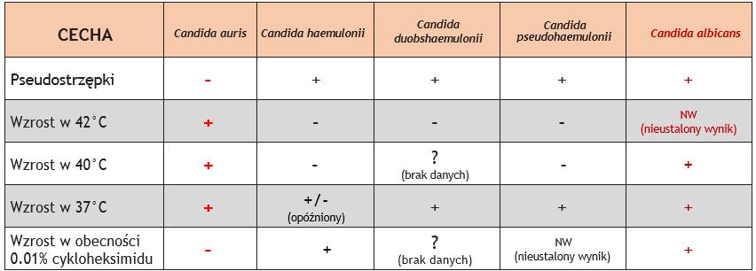 Cechy różnicujące Candida auris od innych Candida spp. Cechą różnicującą Candida auris od innych gatunków z rodzaju Candida, w tym C. haemulonii i C.