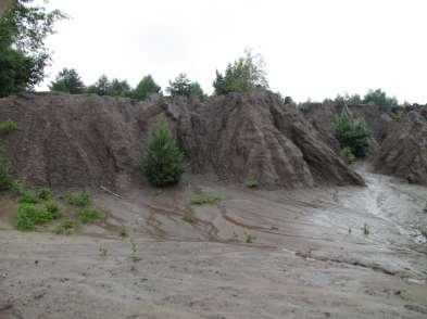 PROCES WYMYWANIA W strefach klimatycznych o charakterze humidowym (wilgotnym) jest procesem powszechnym, występującym we wszystkich glebach.