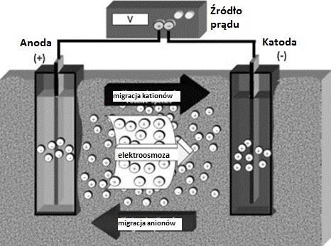 Oczyszczanie elektrokinetyczne Metoda elektroremediacji wykorzystuje pole elektryczne wytwarzane przez przepływ prądu, w wyniku którego zanieczyszczenia migrują w stronę odpowiednich elektrod, na