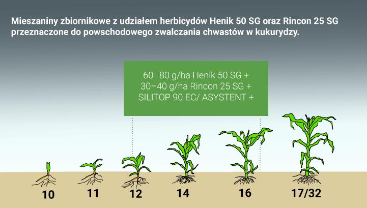 https://www. Mieszaniny zbiornikowe z udziałem herbicydów Henik 50 SG oraz Rincon 25 SG Najlepszy rezultat uzyskamy stosując obydwa preparaty łącznie lub solo w fazie 2-4 liści kukurydzy.