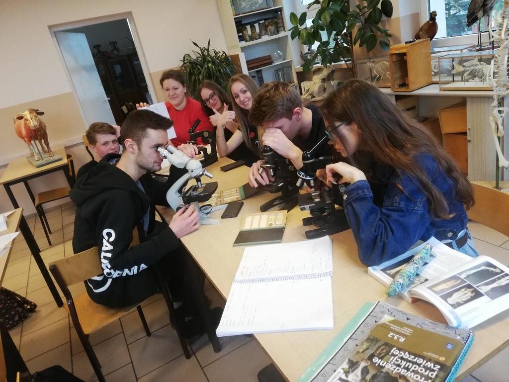 Technik Weterynarii