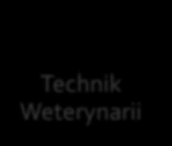 TECHNIKA: Technik Weterynarii Technik Geodeta Technik Awionik klasa