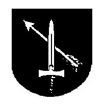 Wojewódzkie Igrzyska Młodzieży Szkolnej w Biegach Narciarskich LISTA OFICJALNYCH WYNIKÓW BIEG INDYWIDUALNY Ustjanowa Górna; 19.02.2008r.