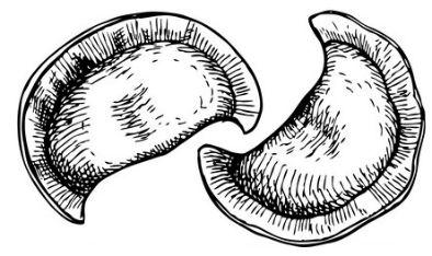 Pierogi własnego wyrobu Pierogi ruskie z okrasą i kwaśną śmietaną 10szt.