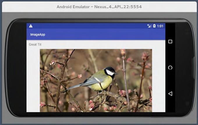 ĆWICZENIE 4: IMAGEAPP Utwórz nowy projekt, który możesz nazwać ImageApp. Kod źródłowy książki ma folder o nazwie obrazy zawierający cztery obrazy.