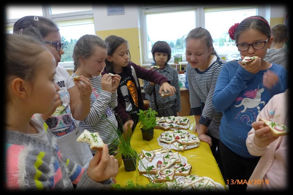 Uczniowie klasy 1b i 2b wraz z paniami: Agnieszką Gajerską i Małgorzatą Górką założyli ziołowy ogródek w