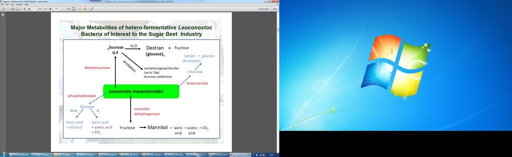 Dextran formation