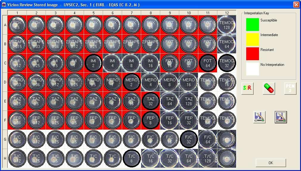 aada5,aph(3')-ia,blatem-1b,cata1-like,dfra17,stra,strb,sul1,sul2,tet(b) U15_81 ecoli[st-6256] aada1,aph(3')-ic-like,blatem-1b,flor-like,qnrs1,stra-like,strb,sul2,tet(b) U15_116 ecoli[st-179]
