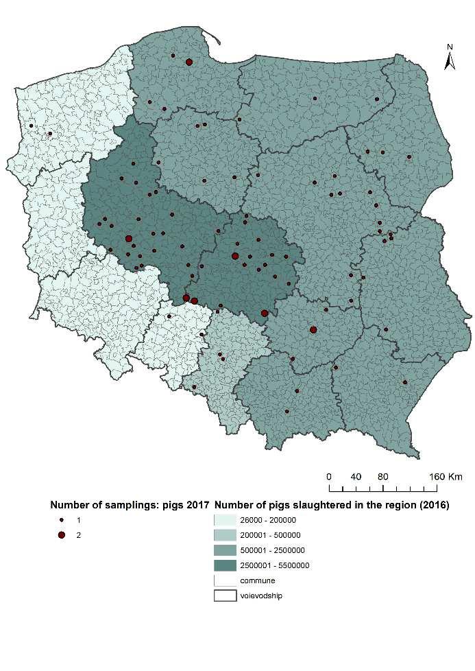 Monitoring oporności E.