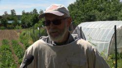 https://www. Uprawa szparagów staje się coraz popularniejsza Autor: Mariusz Drożdż Data: 21 czerwca 2019 Przybywa plantacji szparagów.
